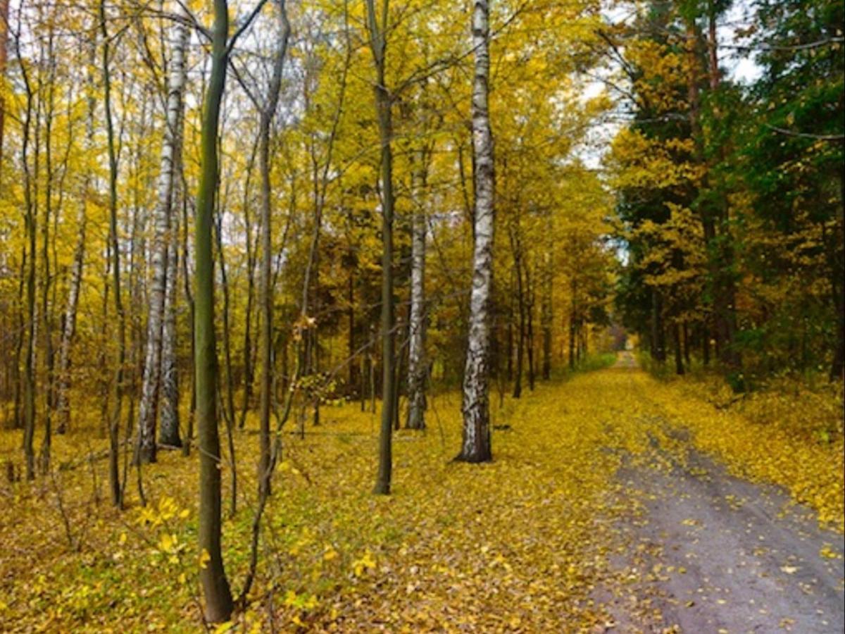 Palac Pacoltowko Экстерьер фото
